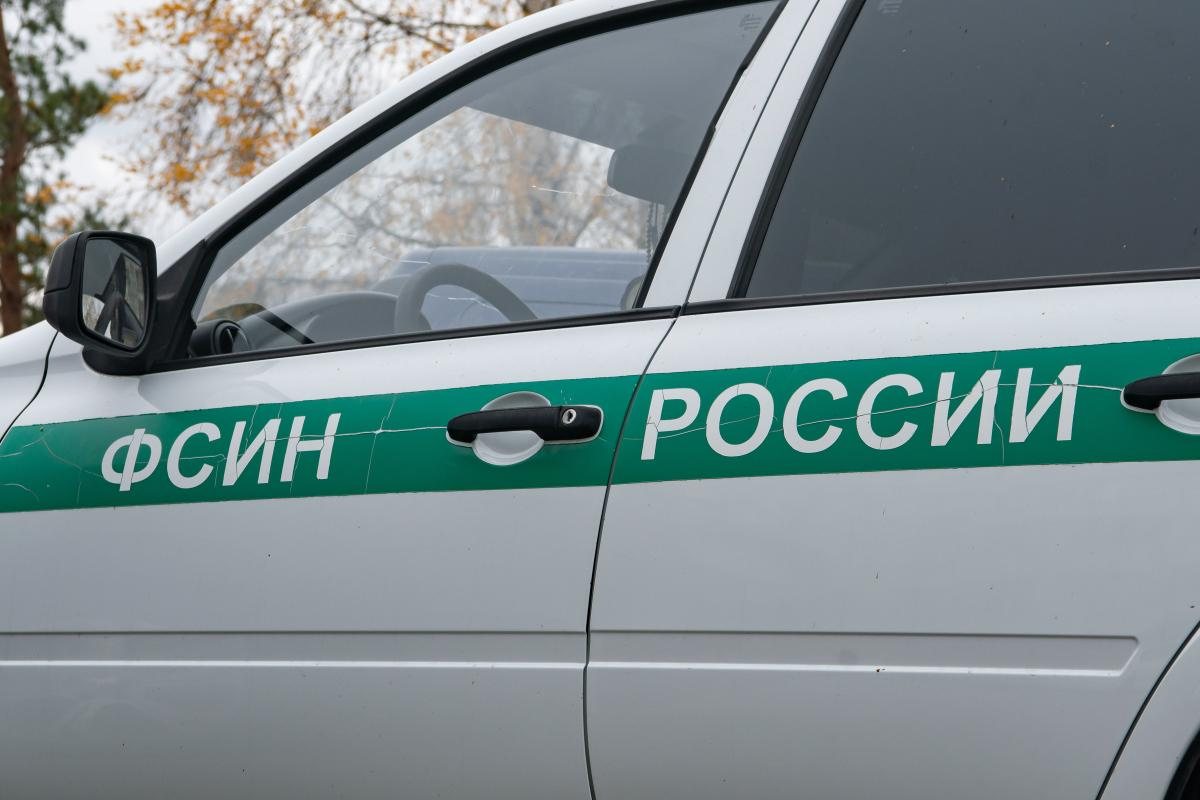 Правительство предлагает разрешить ФСИН собирать биометрию без согласия подозреваемых и осужденных